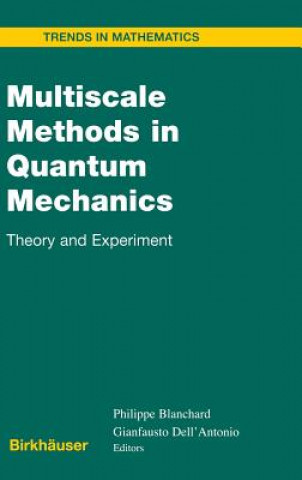 Multiscale Methods in Quantum Mechanics