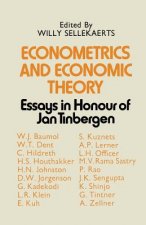 Econometrics and Economic Theory