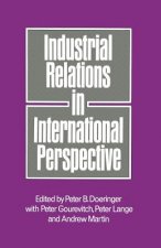 Industrial Relations in International Perspective