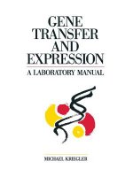 Gene Transfer and Expression