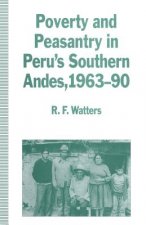 Poverty and Peasantry in Peru's Southern Andes, 1963-90
