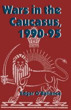 Wars in the Caucasus, 1990-1995