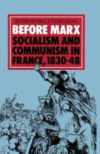 Before Marx: Socialism and Communism in France, 1830-48
