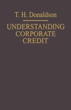 Understanding Corporate Credit