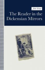 Reader in the Dickensian Mirrors