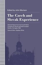 Czech and Slovak Experience