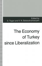 Economy of Turkey since Liberalization