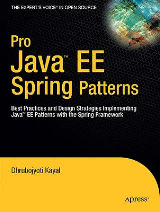 Pro Java  EE Spring Patterns