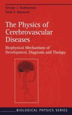 Physics of Cerebrovascular Diseases