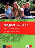Magnet Neu in Teilbanden