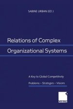 Relations of Complex Organizational Systems
