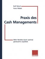 Praxis Des Cash Managements