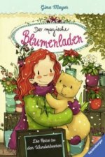 Der magische Blumenladen: Die Reise zu den Wunderbeeren