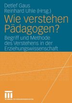 Wie Verstehen P dagogen?