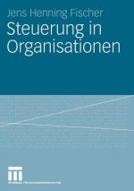 Steuerung in Organisationen
