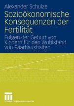 Sozio konomische Konsequenzen Der Fertilit t