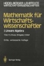 Mathematik fur Wirtschaftswissenschaftler