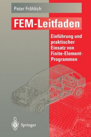 Fem-Leitfaden