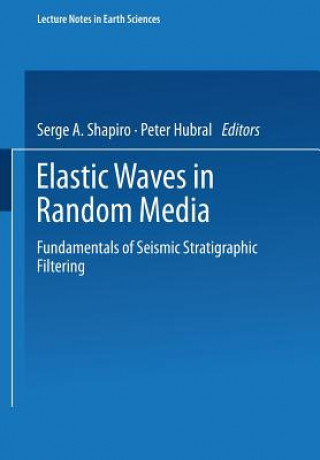 Elastic Waves in Random Media