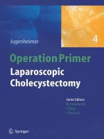 Laparoscopic Cholecystectomy