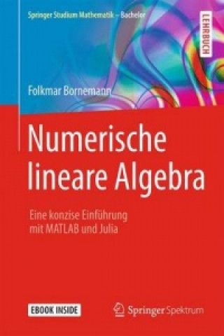 Springer Studium Mathematik - Bachelor