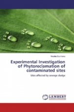 Experimental Investigation of Phytoreclamation of contaminated sites
