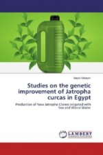 Studies on the genetic improvement of Jatropha curcas in Egypt