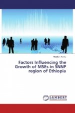 Factors Influencing the Growth of MSEs in SNNP region of Ethiopia