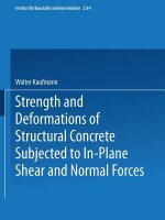 Strength and Deformations of Structural Concrete Subjected to In-Plane Shear and Normal Forces