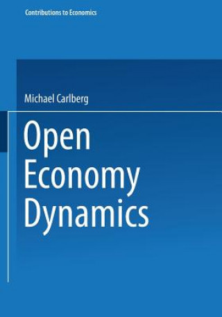 Open Economy Dynamics