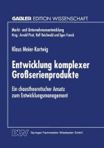 Entwicklung Komplexer Grossserienprodukte