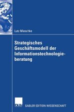 Strategisches Geschaftsmodell der Informationstechnologieberatung