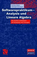 Softwarepraktikum - Analysis Und Lineare Algebra