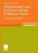 Gis-Konzept Und Konturen Eines It-Master-Plans