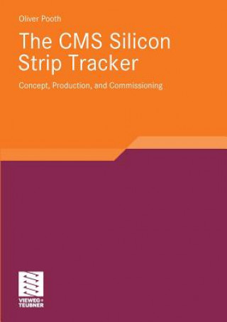 CMS Silicon Strip Tracker