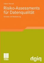 Risiko-Assessments Fur Datenqualitat