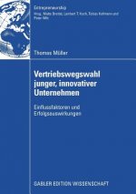 Vertriebswegswahl Junger, Innovativer Unternehmen