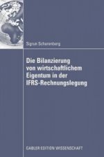 Die Bilanzierung Von Wirtschaftlichem Eigentum in Der Ifrs-Rechnungslegung
