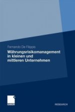 Wahrungsrisikomanagement in kleinen und mittleren Unternehmen