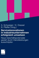 Serviceinnovationen in Industrieunternehmen Erfolgreich Umsetzen