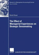 Effect of Managerial Experiences on Strategic Sensemaking