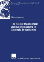 Role of Management Accounting Systems in Strategic Sensemaking