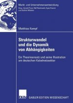 Strukturwandel Und Die Dynamik Von Abh ngigkeiten