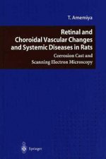 Retinal and Choroidal Vascular Changes and Systemic Diseases in Rats