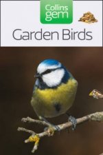 Garden Birds