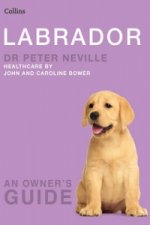 Labrador
