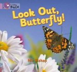 Look Out Butterfly!