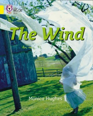 Wind (Monica Hughes)(Brožovaná)