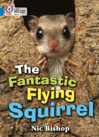 Fantastic Flying Squirrel (Nic Bishop)(Brožovaná)