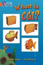 What Is CGI?